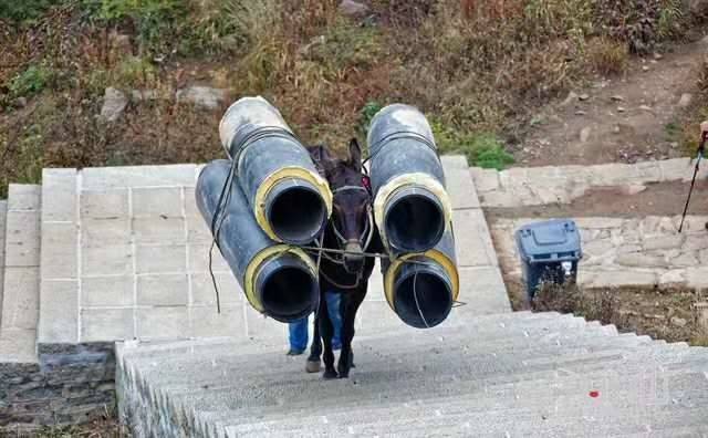 娄底马帮运输